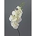 Produktbild creativ home Kunstblume, PHALENOPSIS 86 cm. Orchidee, Orchideentrieb in CREME-48