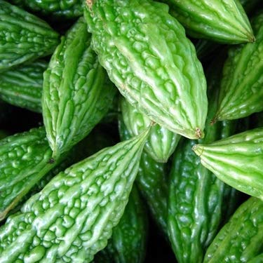 Creative Farmer Vegetable Seeds Karela Seeds - Bitter Gourd Plant Seeds Herb Plant Seeds Summer Season Crop Home Garden Seeds (B07N46SB1H) Amazon Price History, Amazon Price Tracker