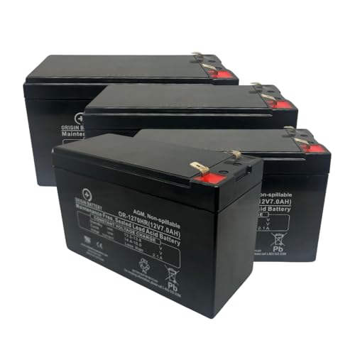 UPS Battery Backup System