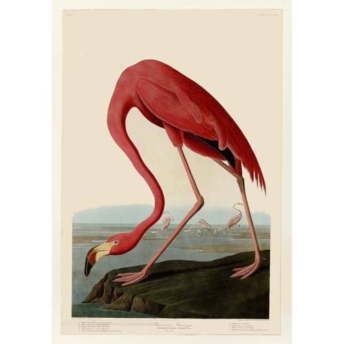 Flamant rose américain cadeau artistique pendaison de crémaillère original
