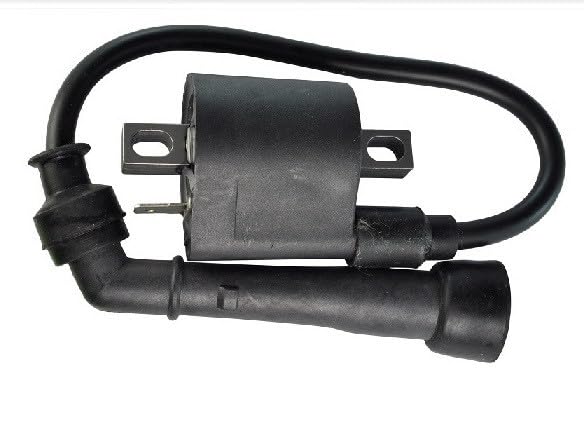 RAVEN Bobines d'allumage Compatible pour Suzuki DR-Z 400 de 2000 à 2012
