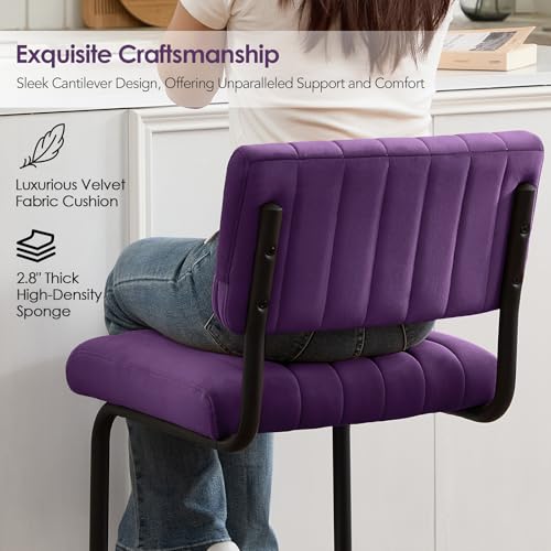 Image of ONEVOG 24.6'' Counter Height Bar Stools Set of 4, Mid-Century Modern Counter Height Cantilever Bar Chairs for Kitchen Island, Upholstered Velvet Fabric Barstools with Back and Matte Metal Legs, Purple