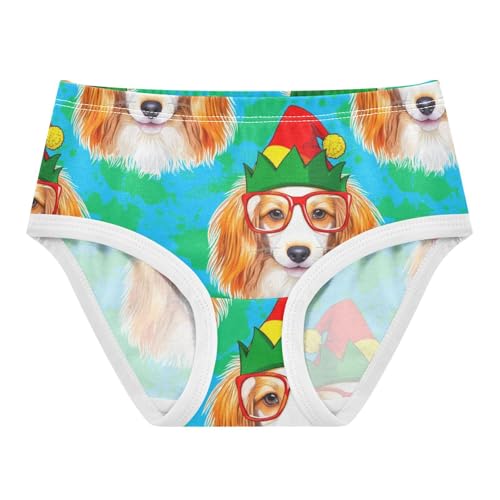 Joisal Cotton Toddler Underwear Floral Funny Dog Red Glasses Green Girl Panties Cute Personalized Briefs Kids Undies 2t