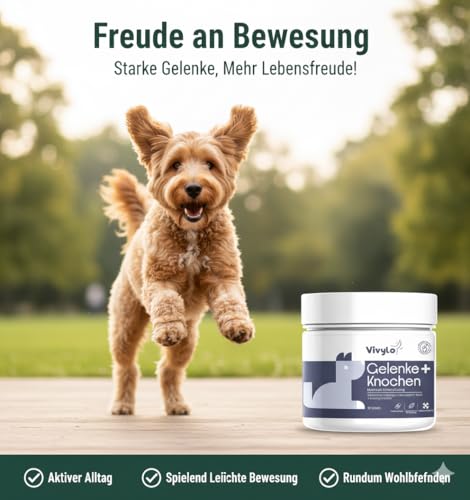 Vivylo 90 Grünlippmuschel Hundeleckerli | 270g | Gelenktabletten mit Glucosamin, Kollagen, Kurkuma, MSM für Gelenke und Knochen - Leckerlis für aktive & älternde Hunde mit Vitamin C, D3 und Zink