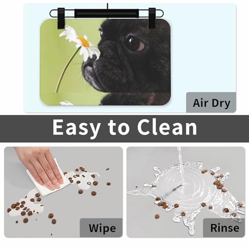 Granatapfelfrucht, schöne Granatapfelkerne, Fruchtmuster,wasserdichte Futtermatte für Haustiere, Tischsets für Katzen und Hunde für Futter und Wasser, Futtermatten aus PU-Leder,40x60cm