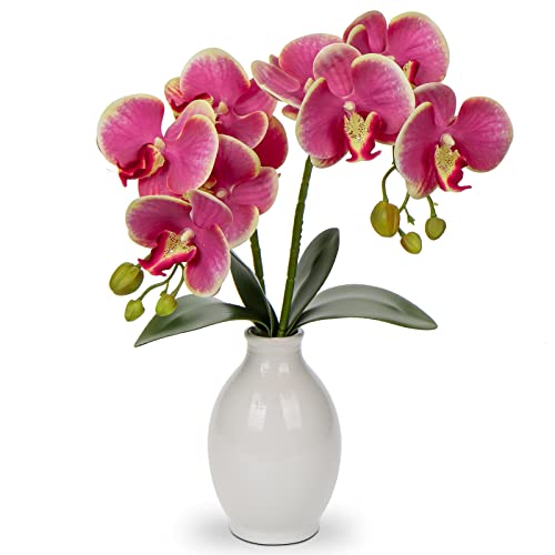 Hollyone 40CM Artificial Pink Orchid Flower in Vase, Large Fake Orchid Plant with Ceramic Vase, Decorative Faux Phalaenopsis for Home Decor, Bathroom, Living Room, Desk, Centerpiece Decorations