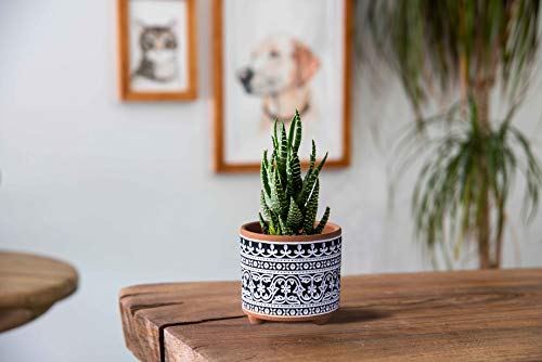 Set Of 2 Terracotta Planter Pots, 4.4 Inch & 6.4 Inch, Wave Pattern Plants Pot With Drainage Hole, Terracotta/Black, 31-953-F-2 #TOP4