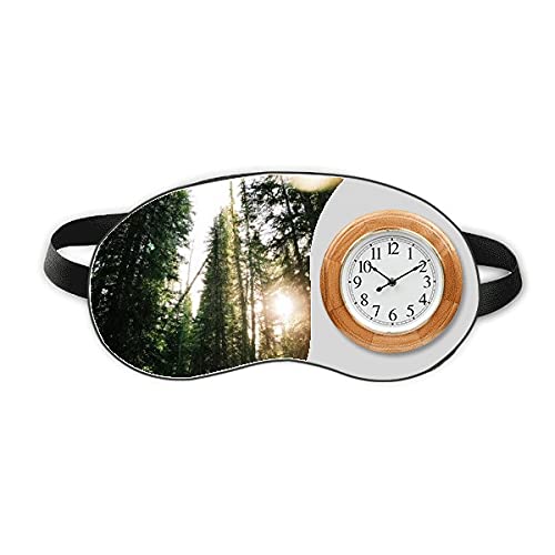 RiXщȊw̗΂̌ vsx݊