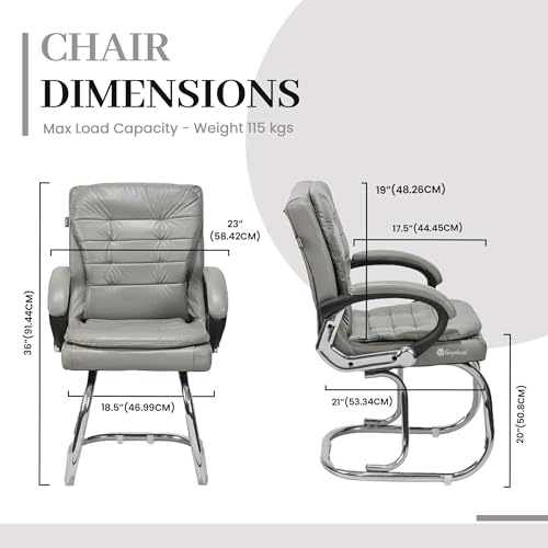 Image of Stainless Steel Special Director Principal Manager Office Visitor Study Chair with Arm Rest with Double Pipe Frame and Cushioned Seat Back (1, Grey, Double Pipe Frame)