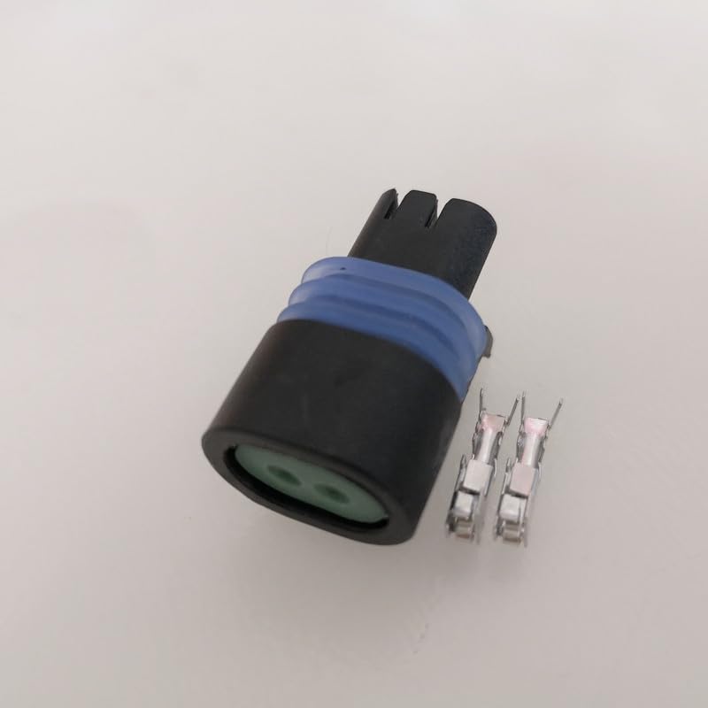 10pcs/lot 2 Pin/Way Manifold Intake Air Temp IAT MAT ACT Sensor Car Weatherproof Plug-in Connector Terminal for Delphi 12162197 - (Color Name: 100pcs)