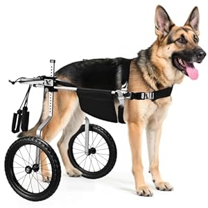 Silla de ruedas para perros todo terreno para patas traseras, ligera y ajustable para perros medianos a grandes, ayuda de movilidad fácil de montar