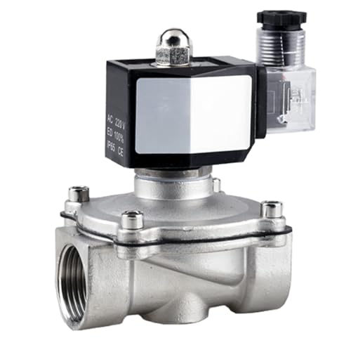 Válvula solenoide BSP para automatizar el riego de jardines exteriores