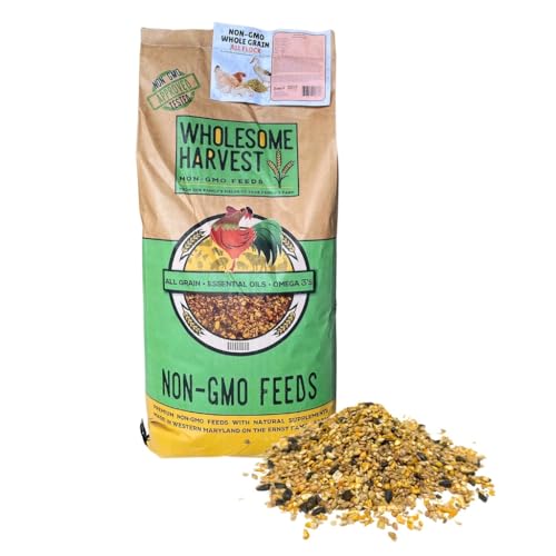 Wholesome Harvest All Flock Feed High Nutrition Layer for Flocks Non-GMO Duck Turkey Geese and Chicken Whole Grain 40 lbs Pack
