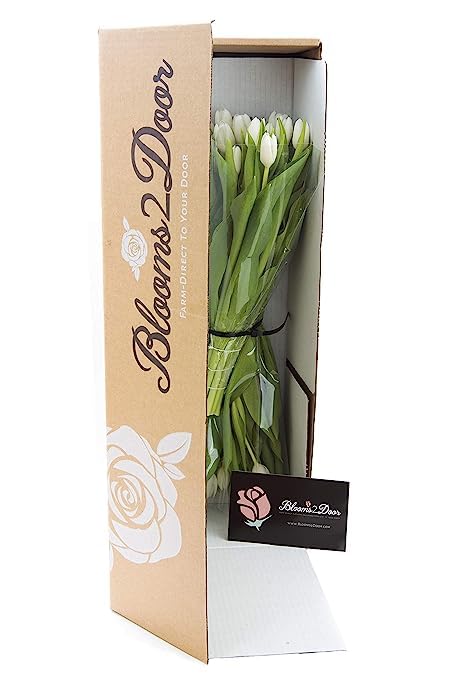 Image of KaBloom-30 White Tulip Bouquet,Flowers for Valentine, Mother's Day