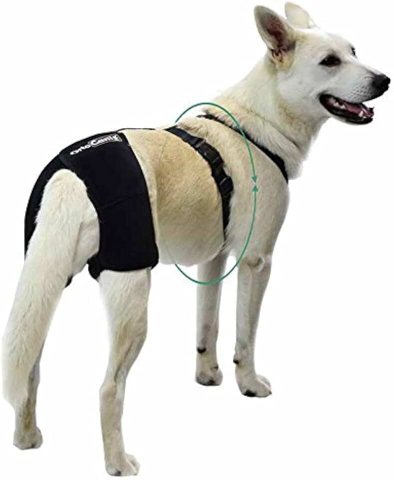 попона kruuse abdominal bandage xxl. повязка на локтевой сустав собаке. шлейка julius-k9 rehabilitation-harnesses-hind l черный. плечевой бандаж для собак. как сделать повязку собаке.