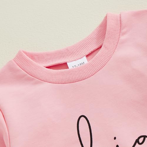 Big Sister Little Sister Matching Outfit Toddler Girl Long Sleeve Sweatshirt Top Pants 2Pcs Fall Clothes Set4