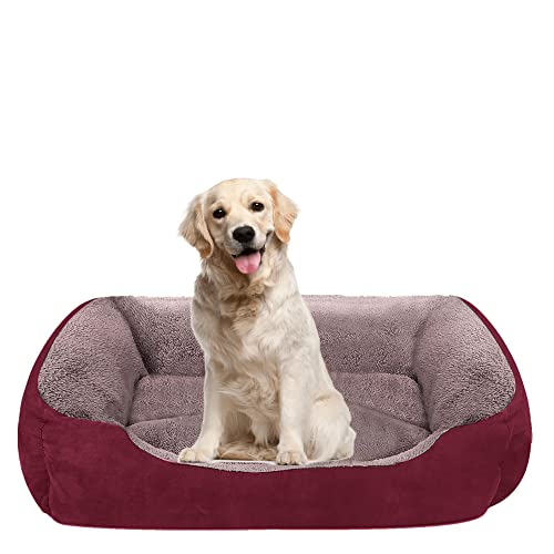 List of Ten Best Petco Orthopedic Dog Beds [Top Picks 2023 Reviews]