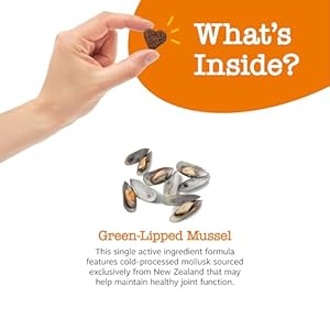 Zesty Paws Mussel Mobility Bites for Dogs  New Zealand Green Lipped Mussel with Natural Glucosamine  Chondroitin + Omega3 Fatty Acids  Hip  Joint Support Supplement Soft Chews  90 Count  Cucciolini Doodles Zesty paws mussel mobility bites for dogs  new zealand green lipped mussel with natural glucosamine  chondroitin + omega 3 fatty acids  hip  joint support supplement soft chews  90 count   cucciolini doodles