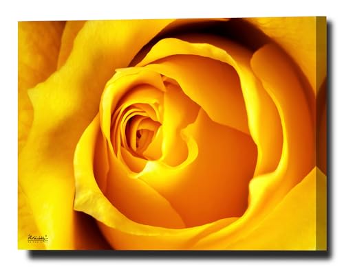 Photonability® Yellow Rose Macro Petals Flower Wall Art Canvas Giclee (40 x 60 x 1.25 inches)