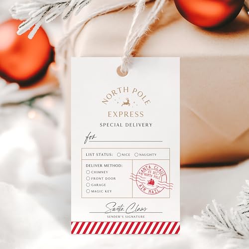 ThreeKin Pack of 50 Christmas Gift Tags 2 x 3 Rectangle Tag with Pre-Punched Hole Perfect Hanging Tags for Holiday Gifts Christmas Presents Events and Celebrations | Gift Wrap Tags