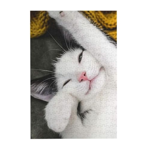 wLтL 300s[X WO\[pY l jЂȂ J`ƃn} a  CeA MtgnEX i38×26cmj