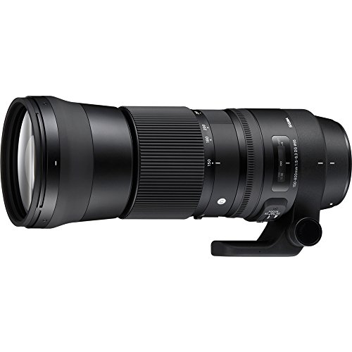 Sigma 150-600mm Contemporary