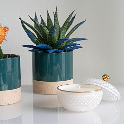 Briganti Scented Candle In White Glass Jar (Pomegranate Bliss) Pomegranate And Tart Red Fruit | Elegant Candle For Home Aromatherapy, All Natural Soy Wax 4Oz #TOP2