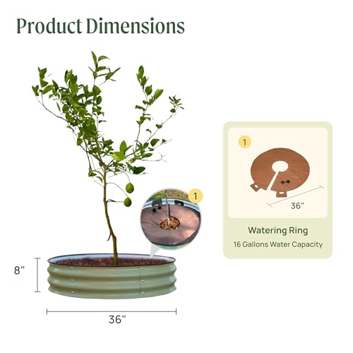 Image of Vego garden Raised Garden Bed 8 inch Tall Tree Surround with Watering Ring, Olive Green