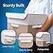 Pack of 2 Baby & Kids Toy Storage Organizer for Dinosaur Toys & Stuffed Animal Organizer-15