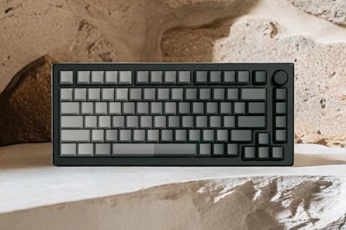 Image of dagaladoo Double Shot PBT keycaps for Mechanical Keyboard,Shine Through keycap Cherry Profile,Gradient Grey,Side Printed Keyboard caps for Mechanical Gaming Keyboards(121key,only keycaps)