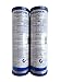 Aquaphor B510-02 2,5 x 10 '' SL CTO (Filtro Blocco Carbone) cartuccia ai carboni attivi 5 Micron (contiene ioni d'argento nella loro forma attiva) x2 (pacco risparmio - 2 pz, per 1 anno)