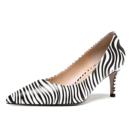 WAYDERNS Women's Slip On Solid Pointed Toe Matte Stiletto Mid Heel Pumps Shoes 2.5 Inch