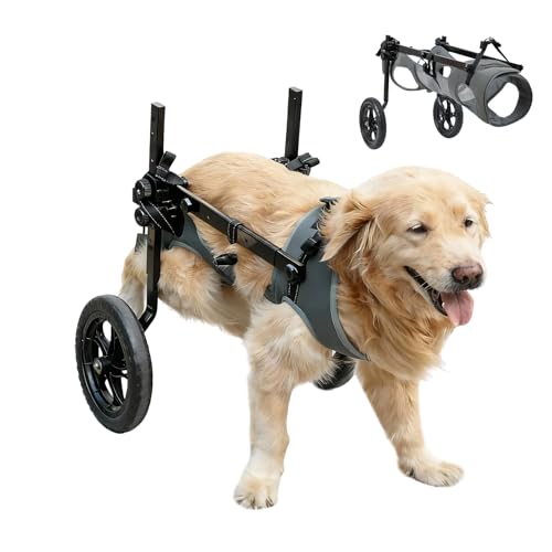 BECROWM Dog Wheelchair for Back Legs, Light Weight Dog&Cat&Pets Wheelchair- Cart with Disabled Hind Legs Walking, Adjustable Doggy Wheelchairs Cart with Wheels for Back Leg s (Grey, XX-Large（XXL）)