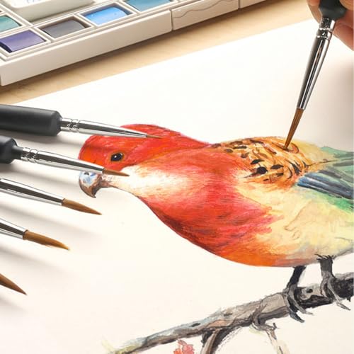 Image of TASMAX 000 Brush for Painting Brush Set Detail Paint Brush Set for Miniature Painting Brushes Set Fine Tip Brushes with Ergonomic Handles Suitable for Acrylic Painting Oil Face Nail for Fine
