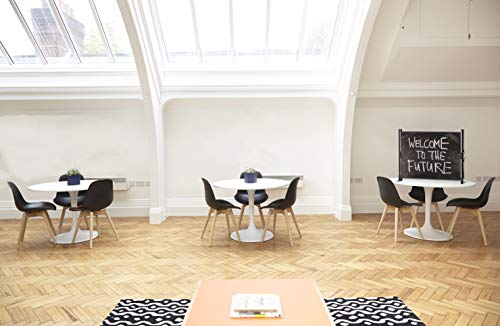 Écran compact pour pico projecteur celexon idéal en réunion et présentation sur table