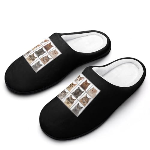 [NBKING] Xbp 킢 lR L [V[Y  qp h g ~  jp ItBX gC Jbv y p E I[V[Yp 7-8i40-41j