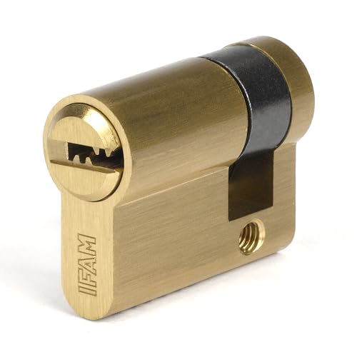 IFAM Cylinder Start STR1030L, Zylindrisches Sicherheitsschloss, Messingausführung, 10x30mm, inkl. 5 vernickelten Stahl-Sicherheitsschlüsseln, Euro-Profilzylinder, Innen- und Außentürschlösser