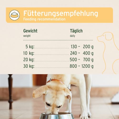 AniForte Hundefutter Nass mit hohem Fleischanteil