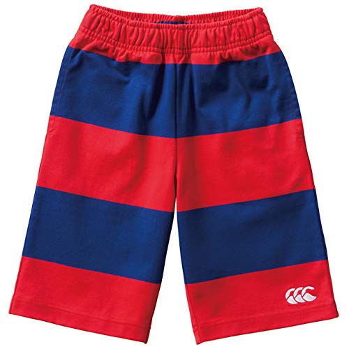 [J^x[] LbY 4C`XgCv W[WV[c RAJ20134 65 bh 120