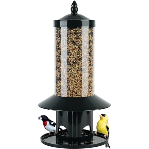 Squirrel-Proof Bird Feeder for Outdoor Wild Bird
