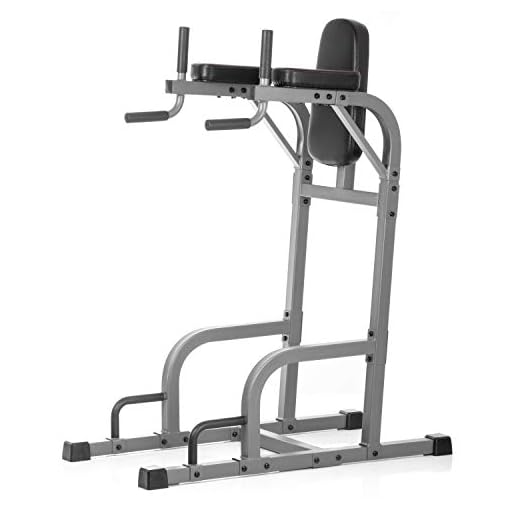XMark Captain's Chair with Dip Stand and Push Up Station, Commercial Vertical Knee Raise, Upper Body Workout Machine