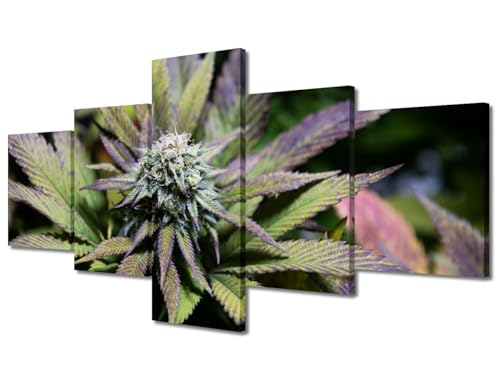 Canvas Wall Art Hemp Plant Photography 5-Piece Set