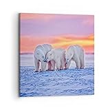 Les tableaux muraux créent un climat fantastique. Dimensions hors tout: 70cm x 70cm. Nombre d’éléments: 1. L'universalité des images sur toile moderne vous permet de l'utiliser dans n'importe quel intérieur décoré de style scandinave, glamour, bohème, minimaliste ou même industriel.