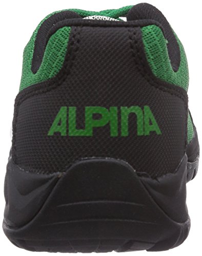 Alpina 680318_grün