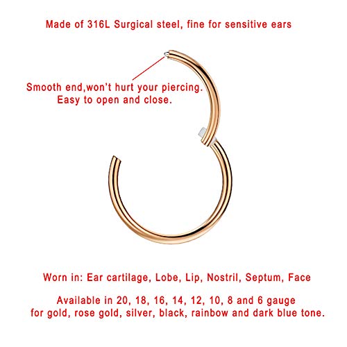 Image of FANSING Men Women 316L Surgical Steel Hinged Nose Rings Hoop for Nostril Septum Cartilage Helix Daith Tragus Rook Conch Lip Ear Lobe Piercings