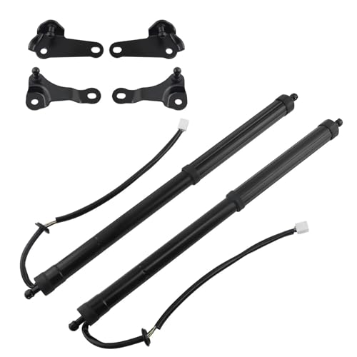 テールゲートリフトサポートロッド に適合する レクサス用 NX200t NX300h 2015 2016 2017 2018 2019 2020 6892079016 リアパワー電動テールゲートリフトサポートハッチトランクガスストラット