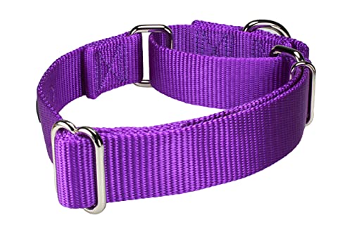 Mikivery Martingale Dog Collar Nylon Adjustable And Safety Training Colourful Comfortable Metal Buckle Pet Collars For Small Medium And Large Dogs(Purple,M) #TOP3