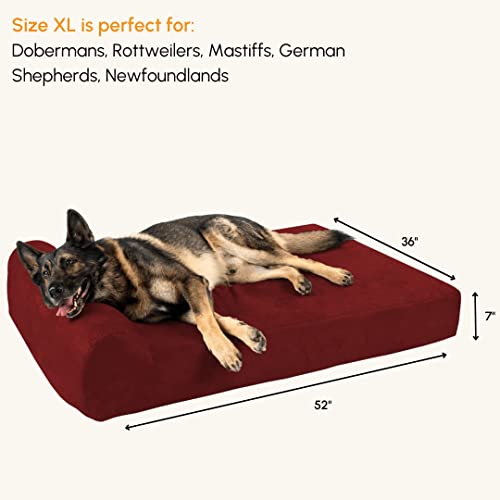 Big Barker 7" Pillow Top Orthopedic Dog Bed - Xl Size - 52 X 36 X 7 - Burgundy - For Large And Extra Large Breed Dogs (Headrest Edition) #TOP1