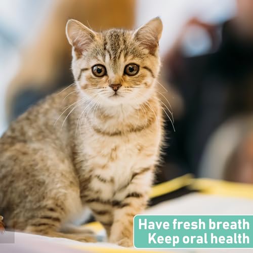 4 Stück Katzenzahnbürste Für Katzen Hundezahnbürste Zahnbürste Weiches Nylon Haustier Zahnbürste Hunde Klein Katze Zahnpflege Hund Zahnbürste Toothbrush Für Empfindliches Zahnfleisch Von Haustieren