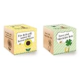 feel green celebrations ecocube, semi di girasole bio, cubo di legno con incisione laser für dich soll immer die sonne scheinen & celebrations ecocube, quadrifoglio portafortuna, cubo in legno